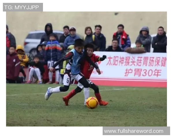 中国足球明星名单的保留与传承探讨及其对未来发展的影响